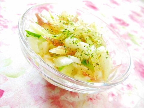 わさびドレッシングｄｅ❤新玉葱と胡瓜と茗荷のサラダ